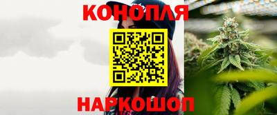 стаф Берёзовский